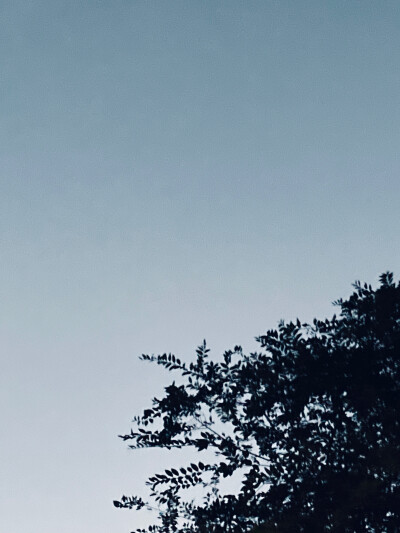 仅仅是系统原相机自带的效果
也可以记录
.人.间.烟.火.