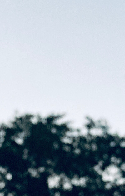 仅仅是系统原相机自带的效果
也可以记录
.人.间.烟.火.