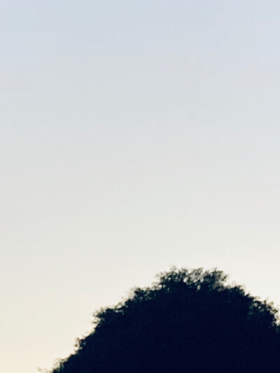 仅仅是系统原相机自带的效果
也可以记录
.人.间.烟.火.