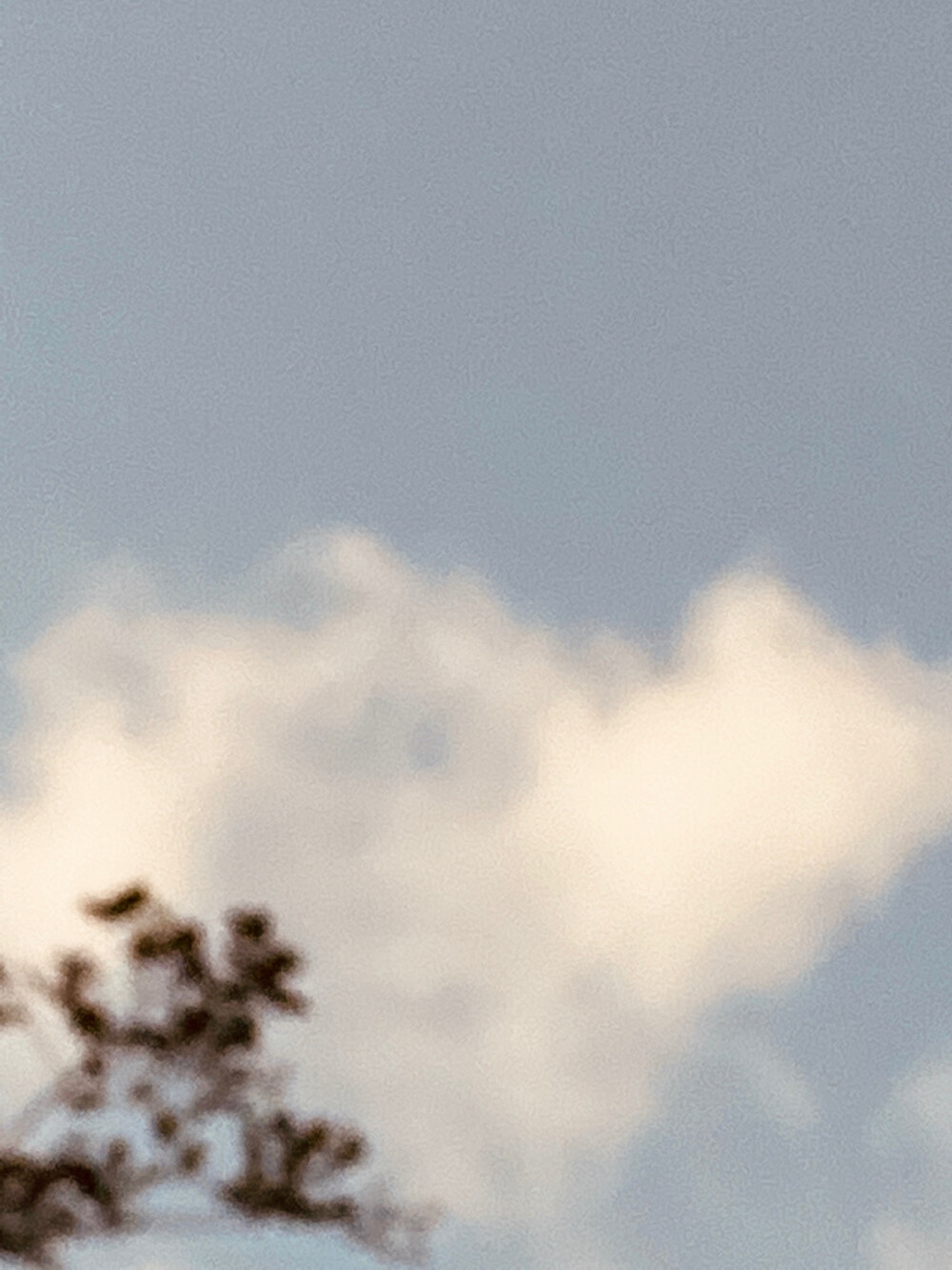 仅仅是系统原相机自带的效果
也可以记录
.人.间.烟.火.