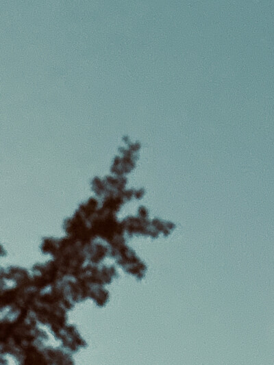 仅仅是系统原相机自带的效果
也可以记录
.人.间.烟.火.