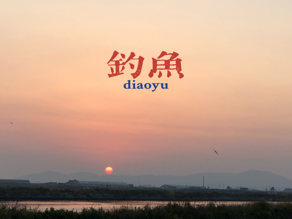 鱼塘，海鸥，芦苇，夕阳