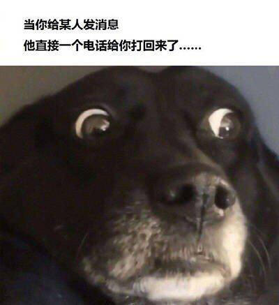 当你出去玩时