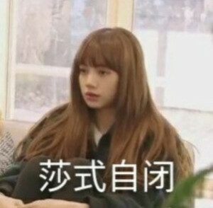 BLACKPINK图片
禁二转 二改
拿走吱一声