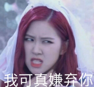 BLACKPINK图片
禁二转 二改
拿走吱一声