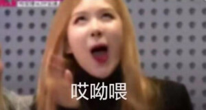 BLACKPINK图片
禁二转 二改
拿走吱一声