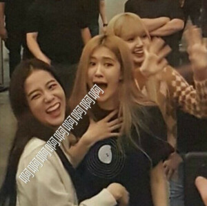 BLACKPINK图片
禁二转 二改
拿走吱一声