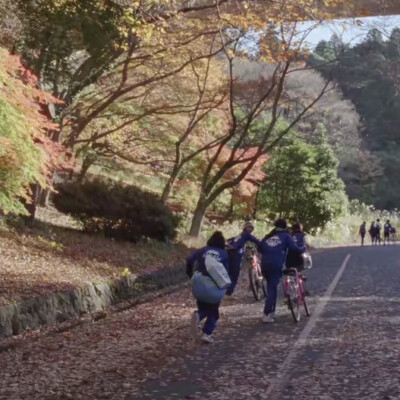 海街日记
自截