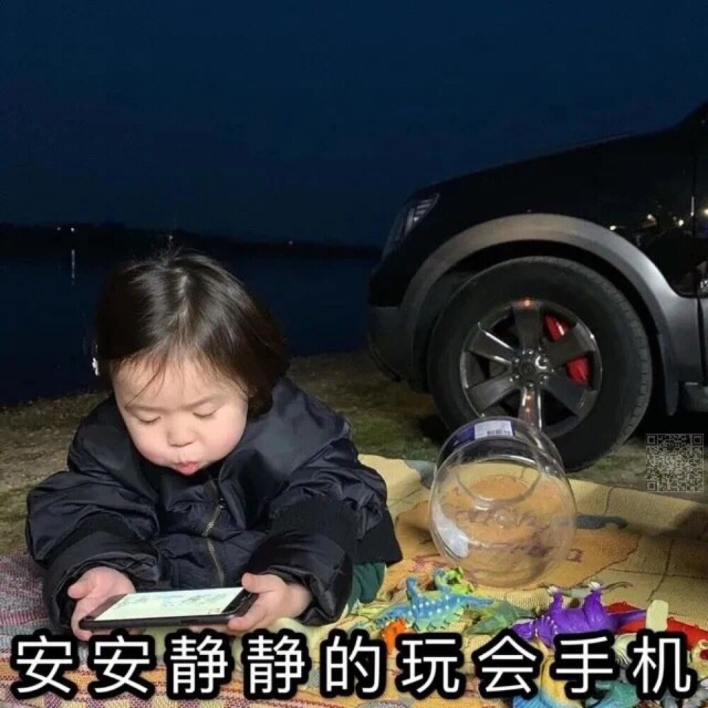 说晚安不代表我要睡了 而是我不对外营业了 我问一个人 安安静静的玩会儿手机