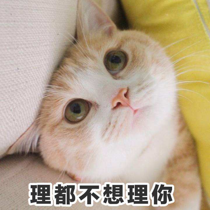 表情包