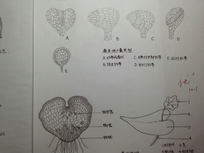 报名教师考试
翻到了很久之前的实验报告
那时是认认真真又倾注热情的
突然有种冲击
是一段认真又单纯的日子好喜欢
