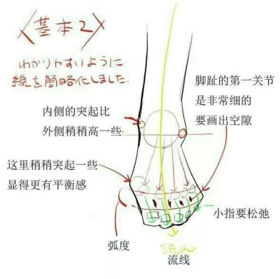 足部素材