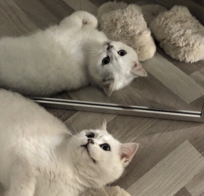 “你的一生，我且送一程 ，不忍言别 ，但车已到站，你更上层楼 ，极目楚天舒，我原路返回， 粉笔写春秋 ”