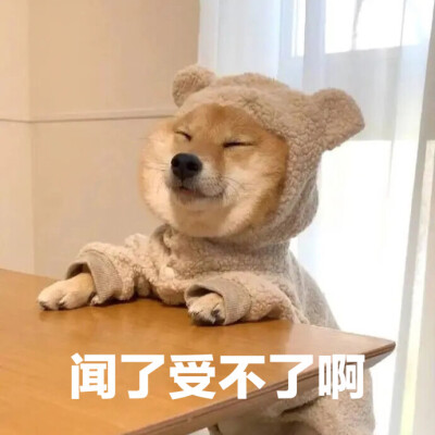 减肥表情包