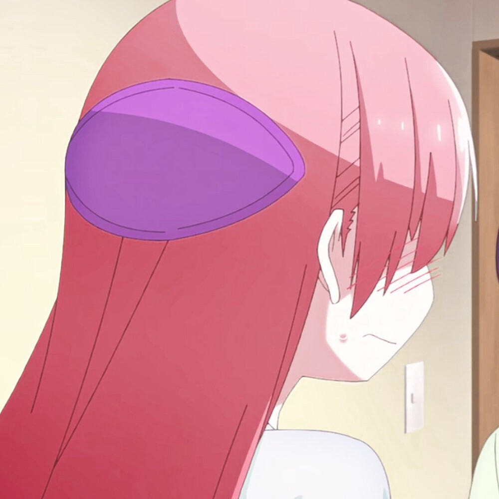 二传注明dt皈乔