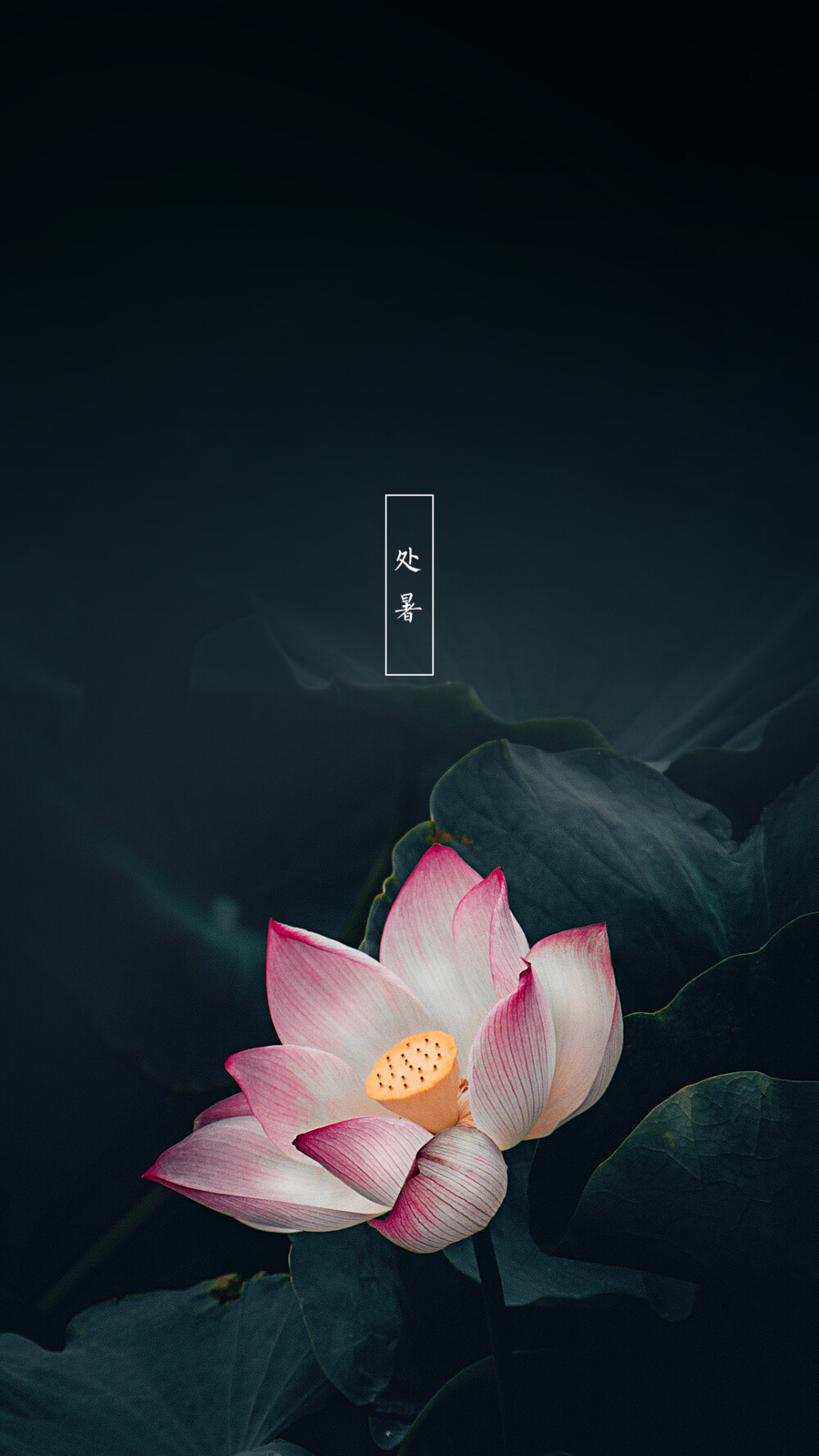 节气～