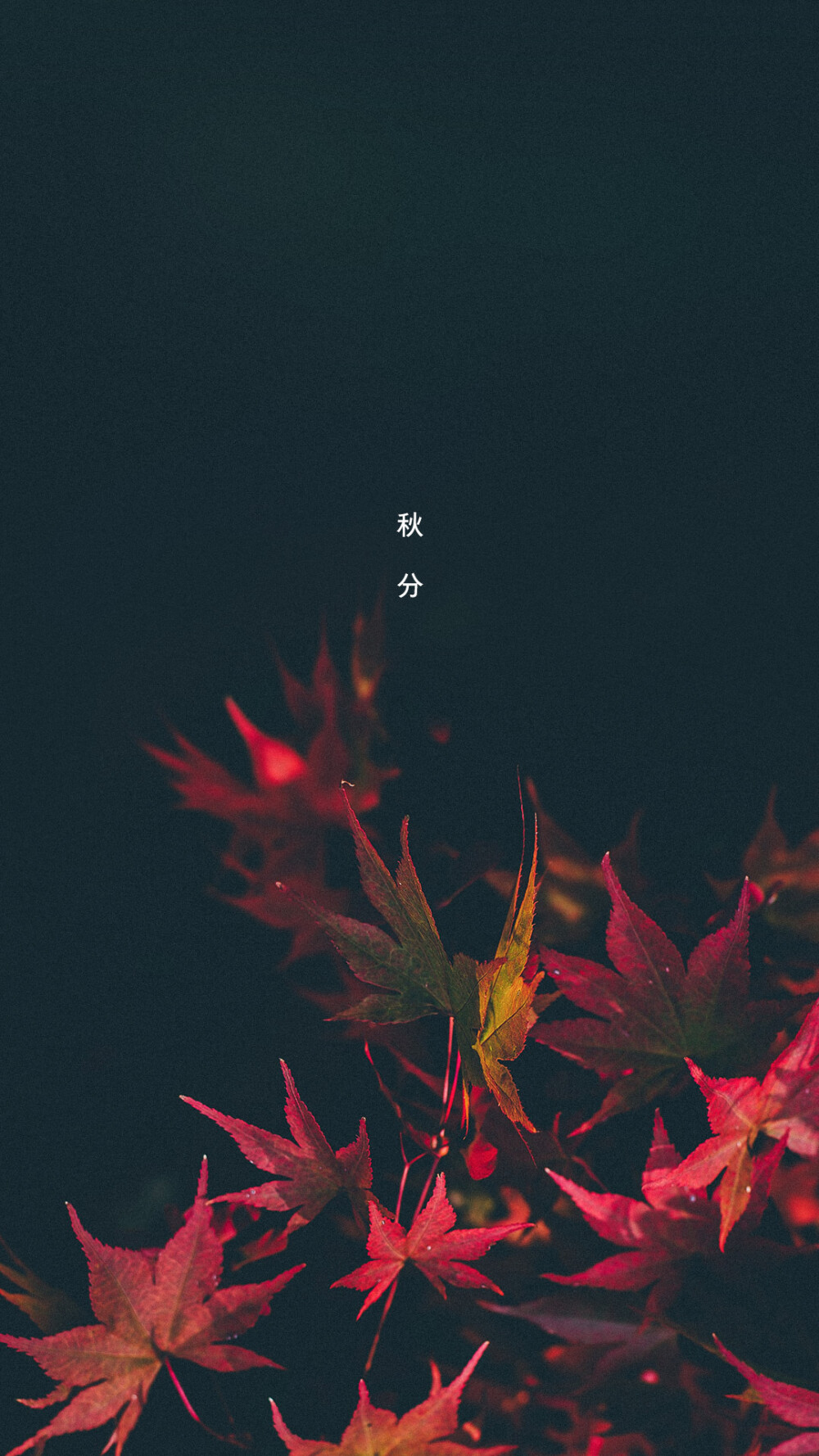 节气～