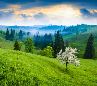 欧美范 壁纸 风景 超好看