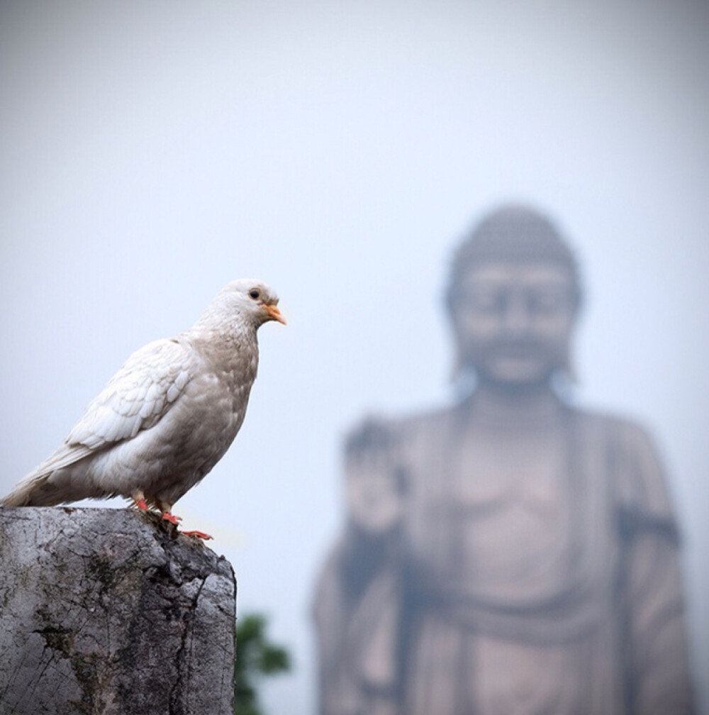 平静的力量