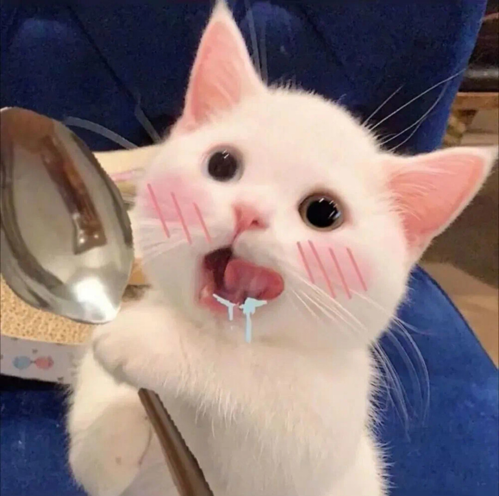可爱猫咪情侣头像