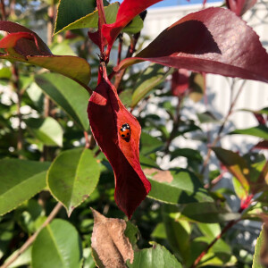 花花草草山山水水