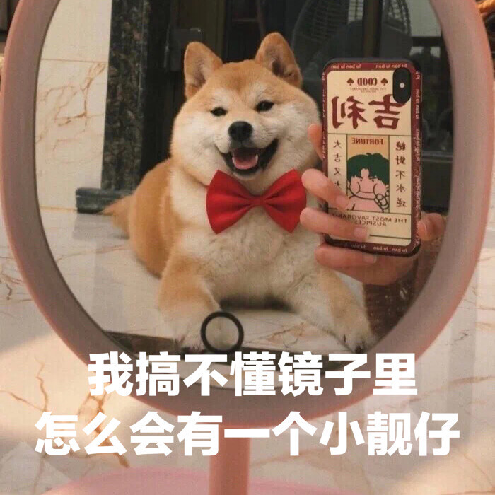 减肥表情包