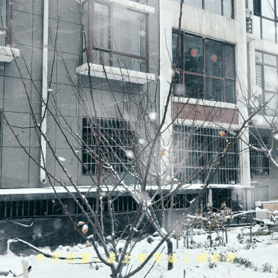 初冬的第一场雪