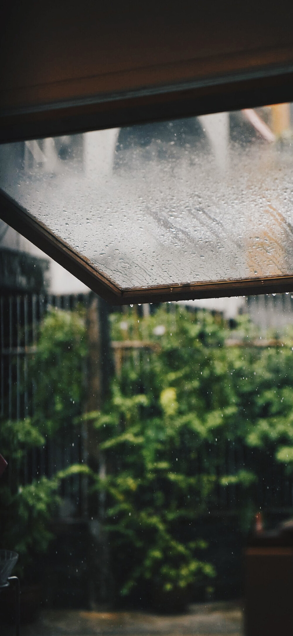 雨 玻璃 壁纸