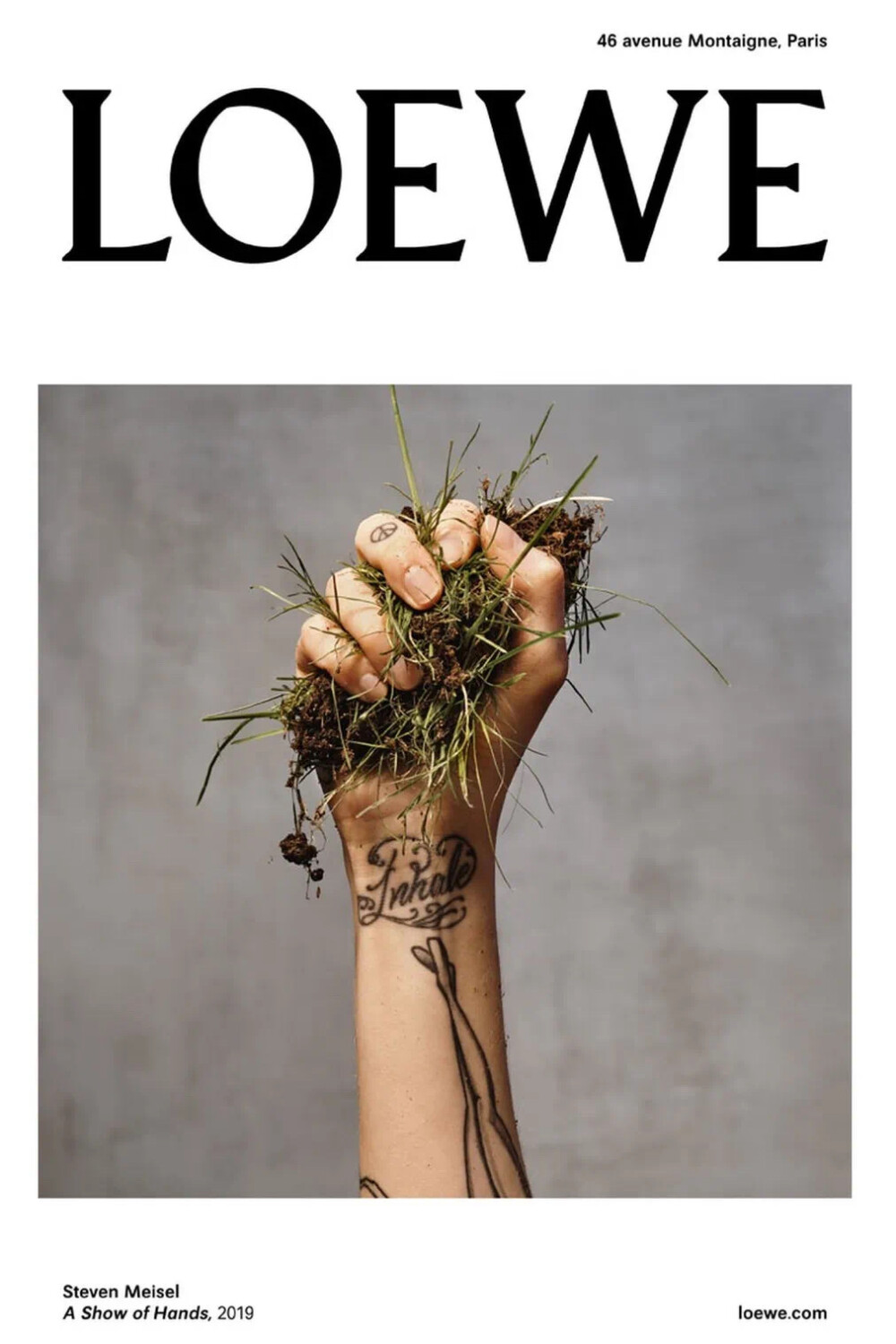 壁纸背景LOEWE