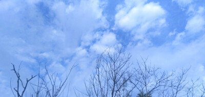 White clouds roam the blue sea in winter.
白云遨游在冬日的蓝色大海