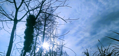 White clouds roam the blue sea in winter.
白云遨游在冬日的蓝色大海