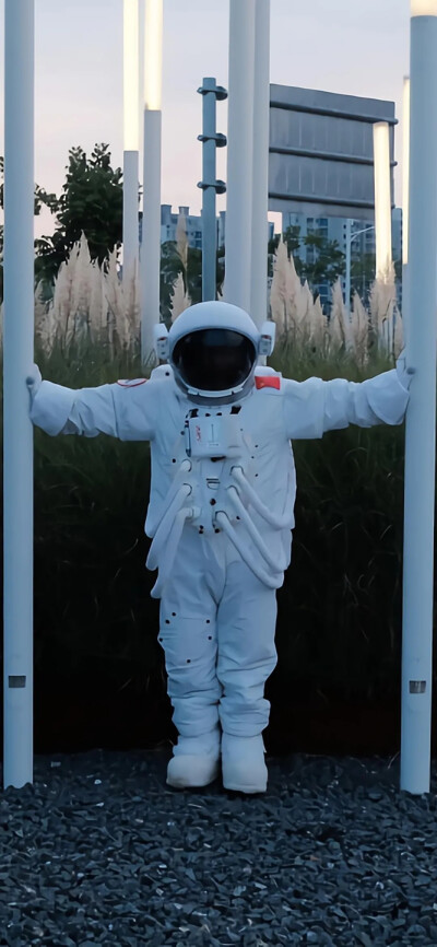宇航员/壁纸