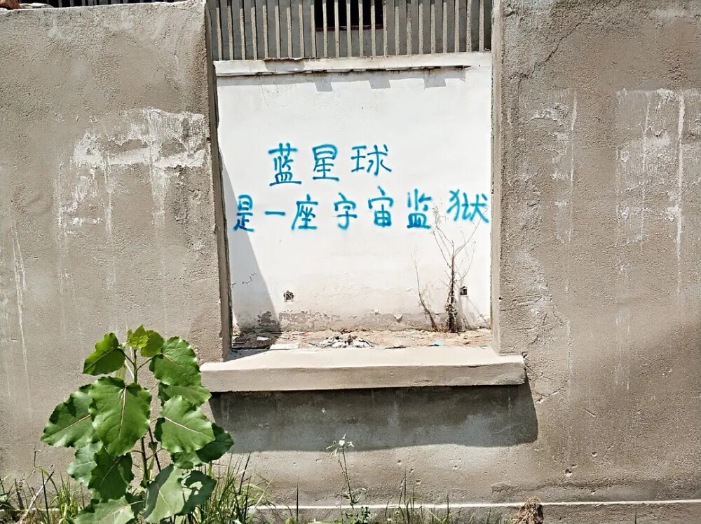 文字墙