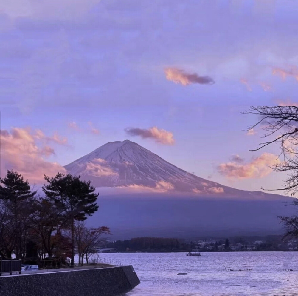 紫色朋友圈背景/头像