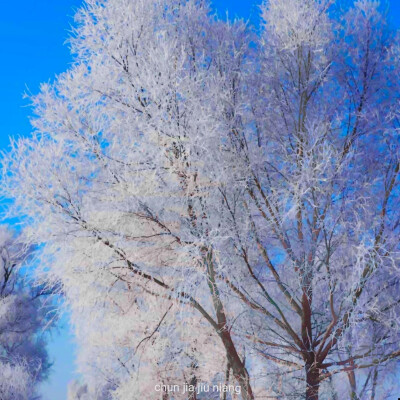 雪花 * 宴會。