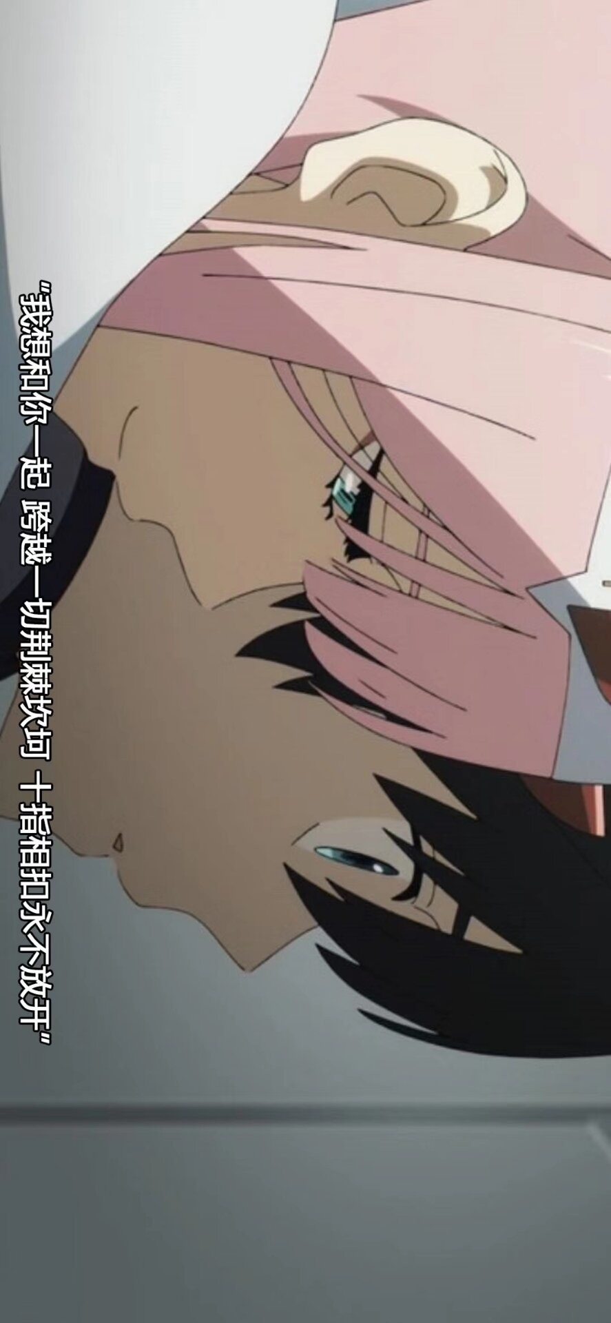 Darling in the franxx壁纸
02是信仰