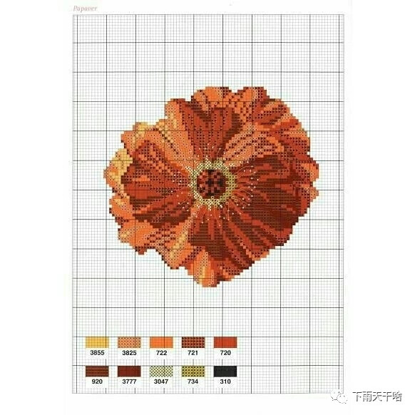 十字绣•写实花系列