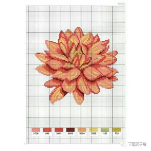 十字绣•写实花系列