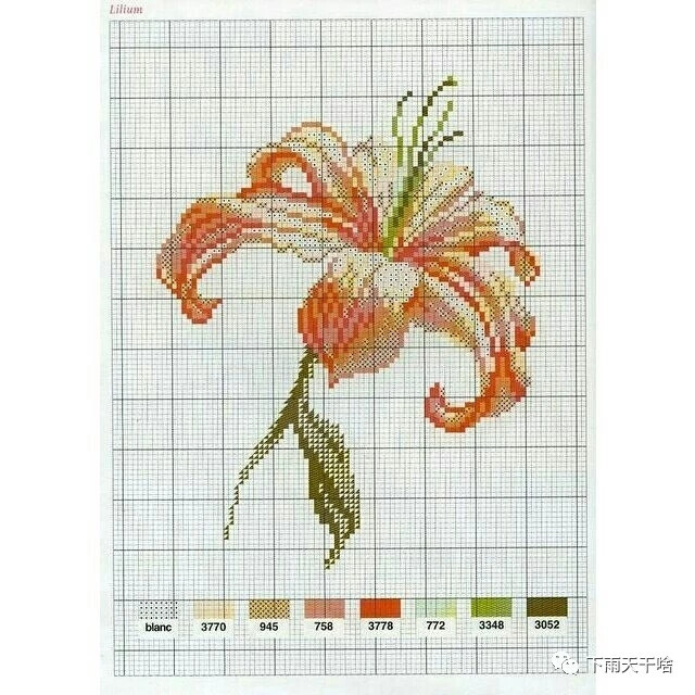 十字绣•写实花系列