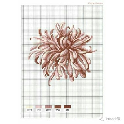 十字绣•写实花系列