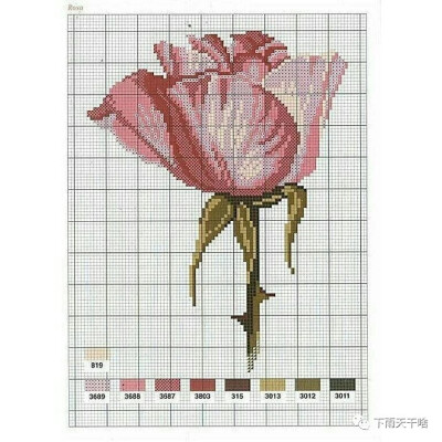 十字绣•写实花系列