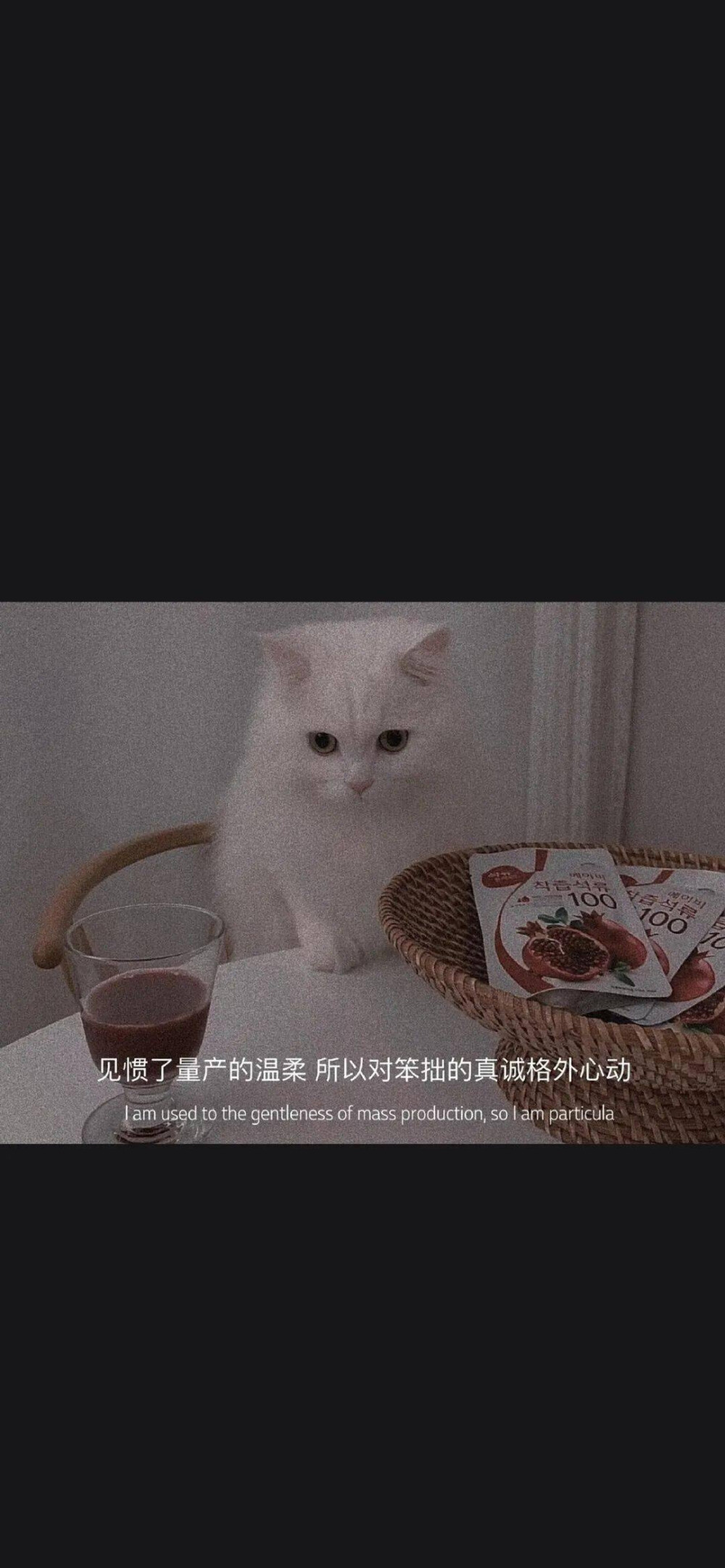 壁纸治愈