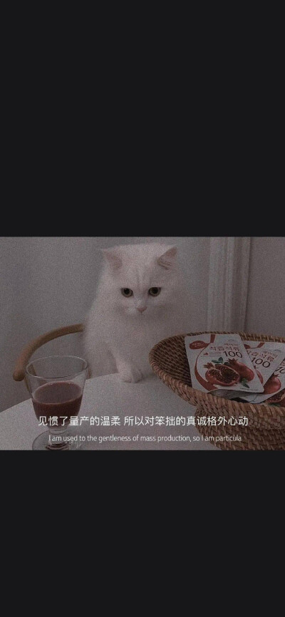 壁纸治愈