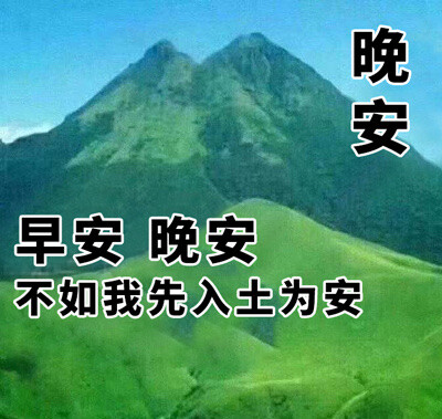 表情包回收站
