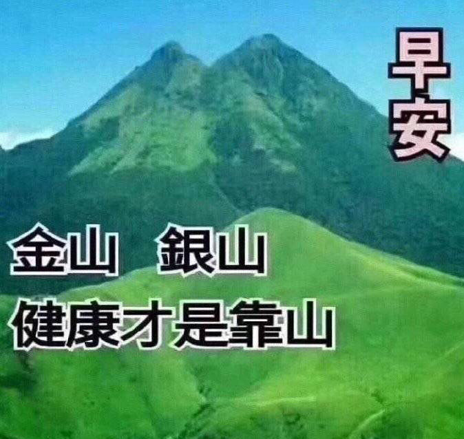 表情包回收站
