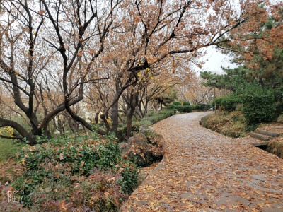 青岛自拍