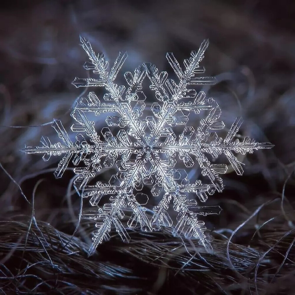 雪花纹理