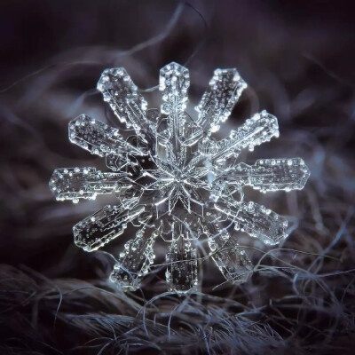 雪花纹理