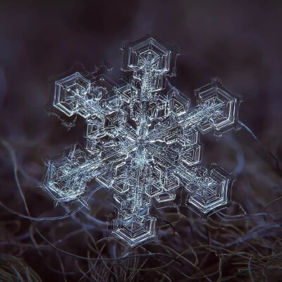 雪花纹理