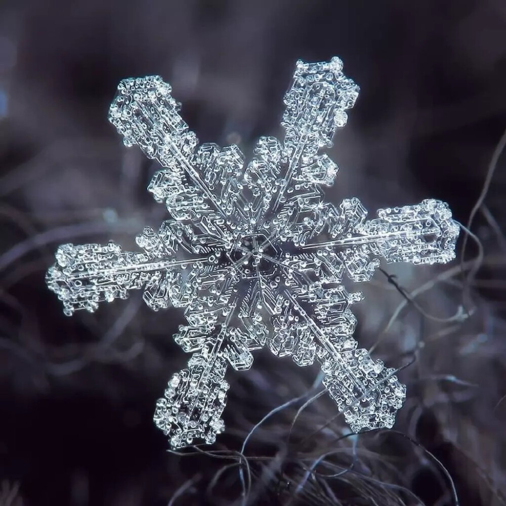 雪花纹理